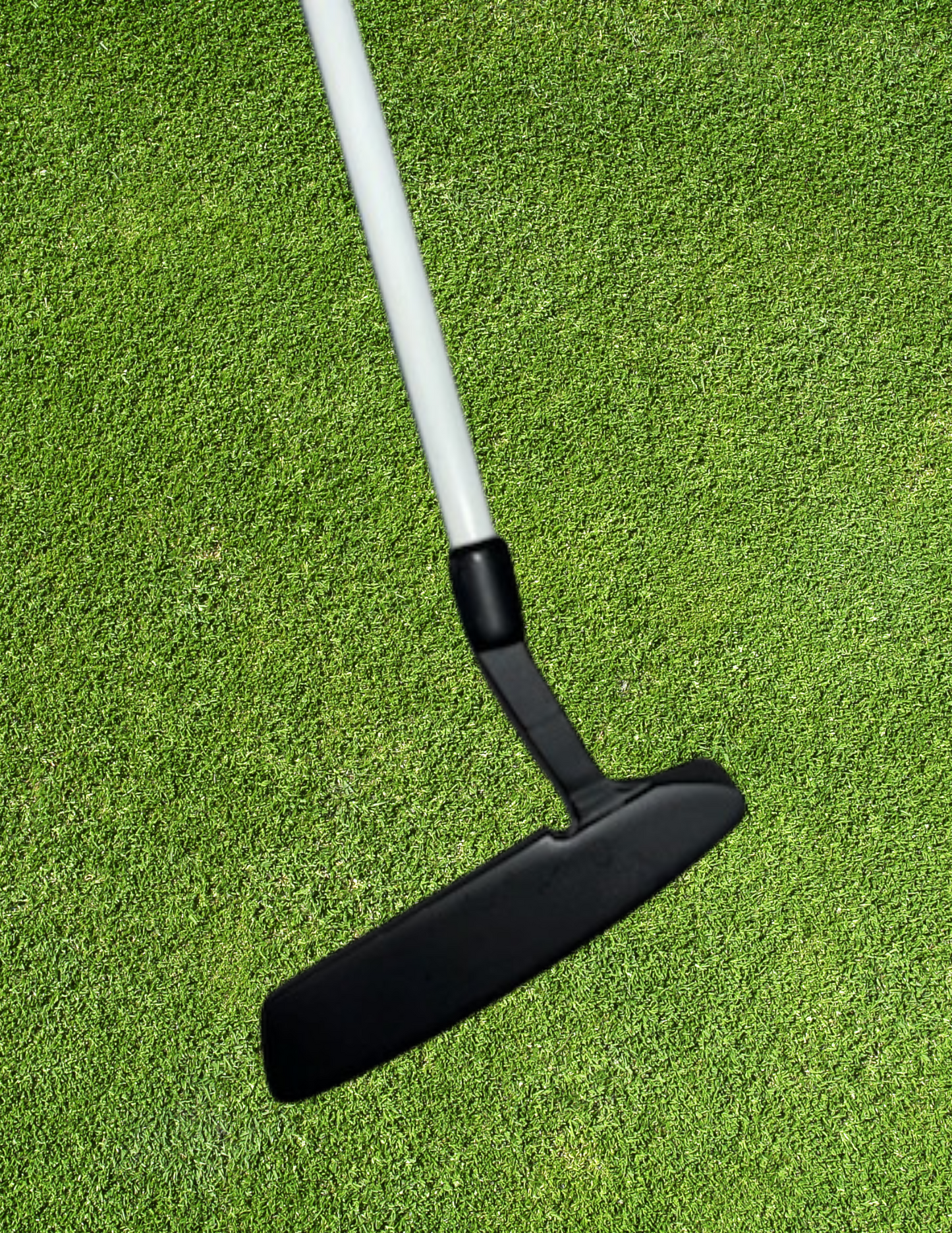 Ladies and Juniors - Flex Putter Gamer