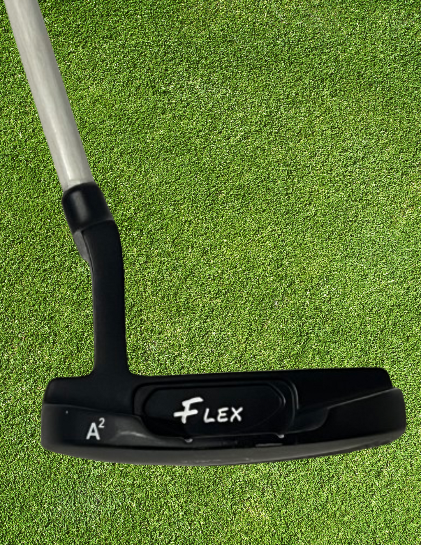 Putting System: Trainer + Gamer! Save when you buy the full system